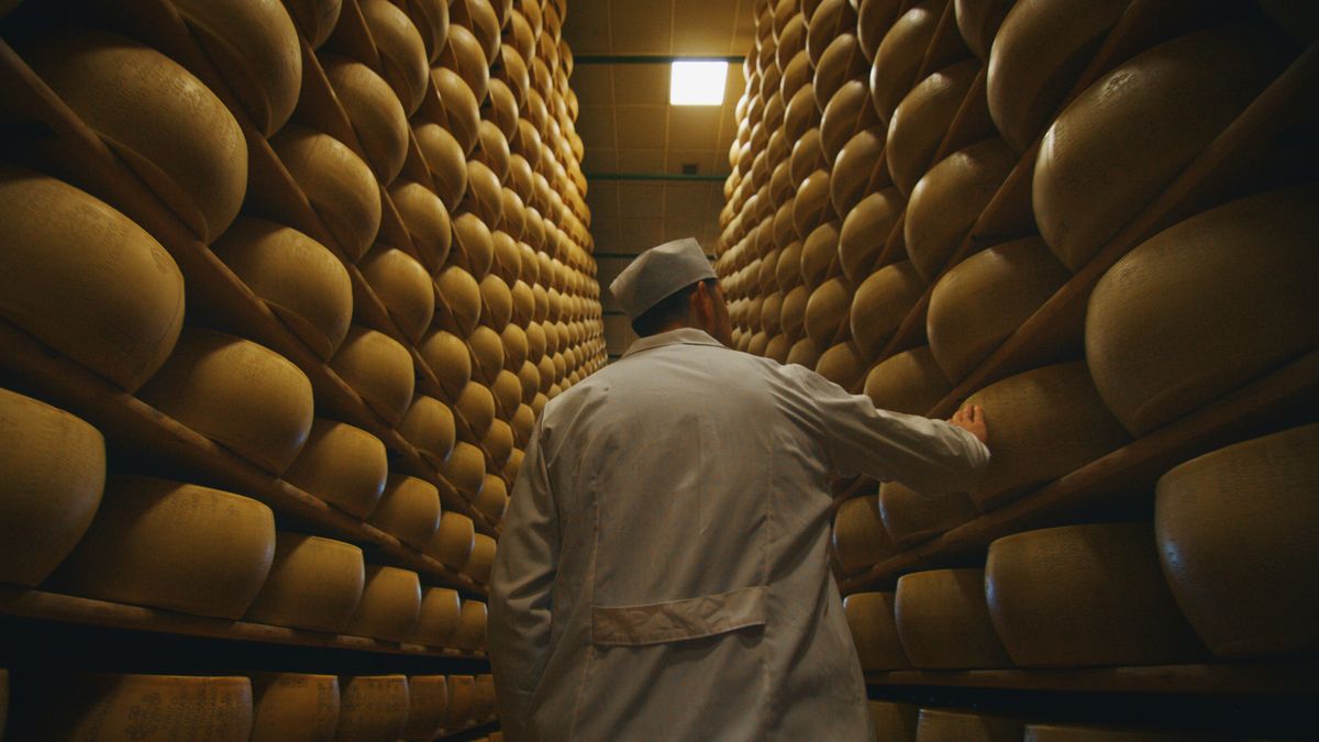 Segítséget kér Jamie Oliver: leplezzük le együtt az évszázad sajtrablóit