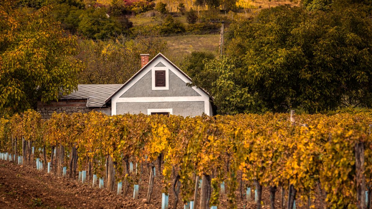 Mi legyen a bőröndben, ha a Balaton-felvidéken töltesz egy őszi hosszú hétvégét?