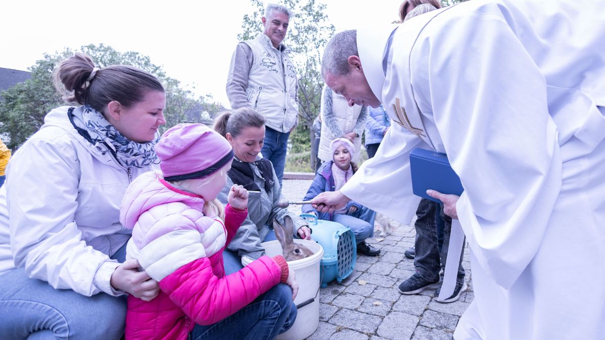 Áldást kaptak a kisállatok a világnapjukon Balatonfüreden (képgaléria)