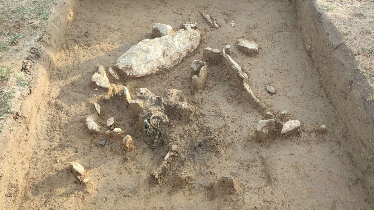 Csodás leletek – Bronzkori ékszereket találtak a régészek a Bakonyban