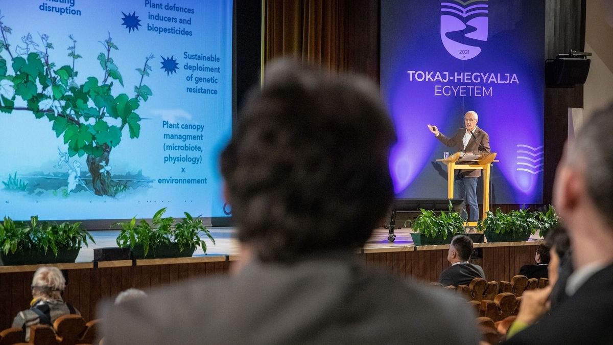 Tizennégy ország borászati szakemberei találkoznak Tokajon