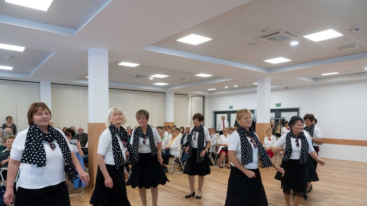 Idősek napja vetkőzős tánccal