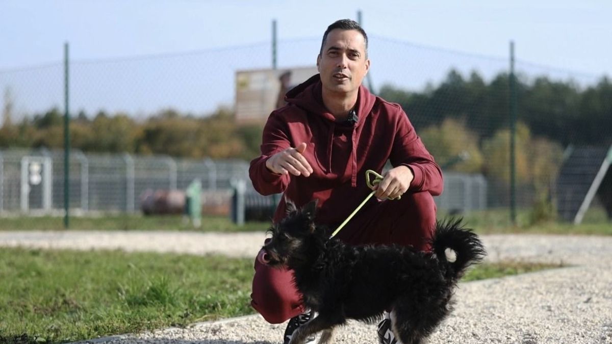 Állatvédelem a vásárlás célja