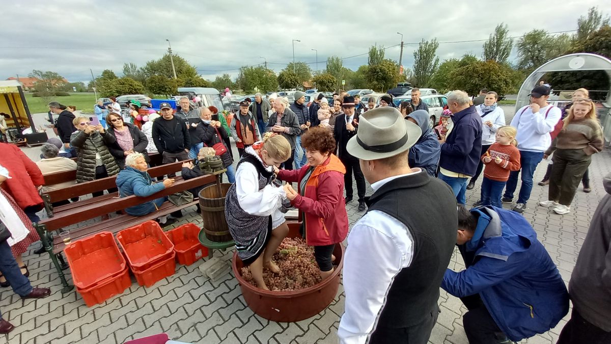 A szüretet ünnepelték Balatonakaliban