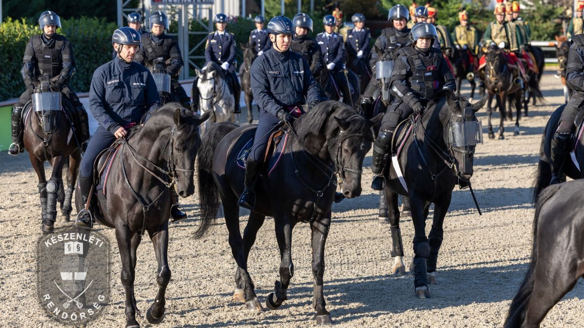 Így zajlott a szemle a Nemzeti Lovardában - Veszprém vármegyei rendőrökkel (videó)