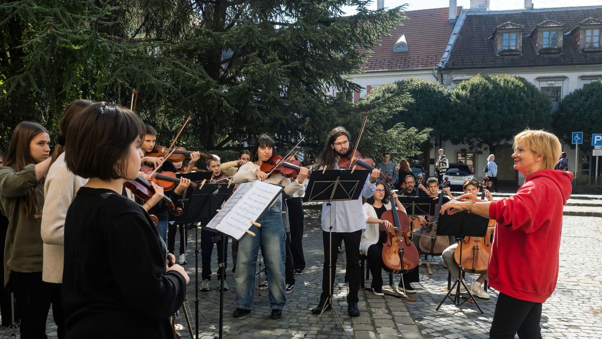 Zenés flashmob a világnapon (videó)