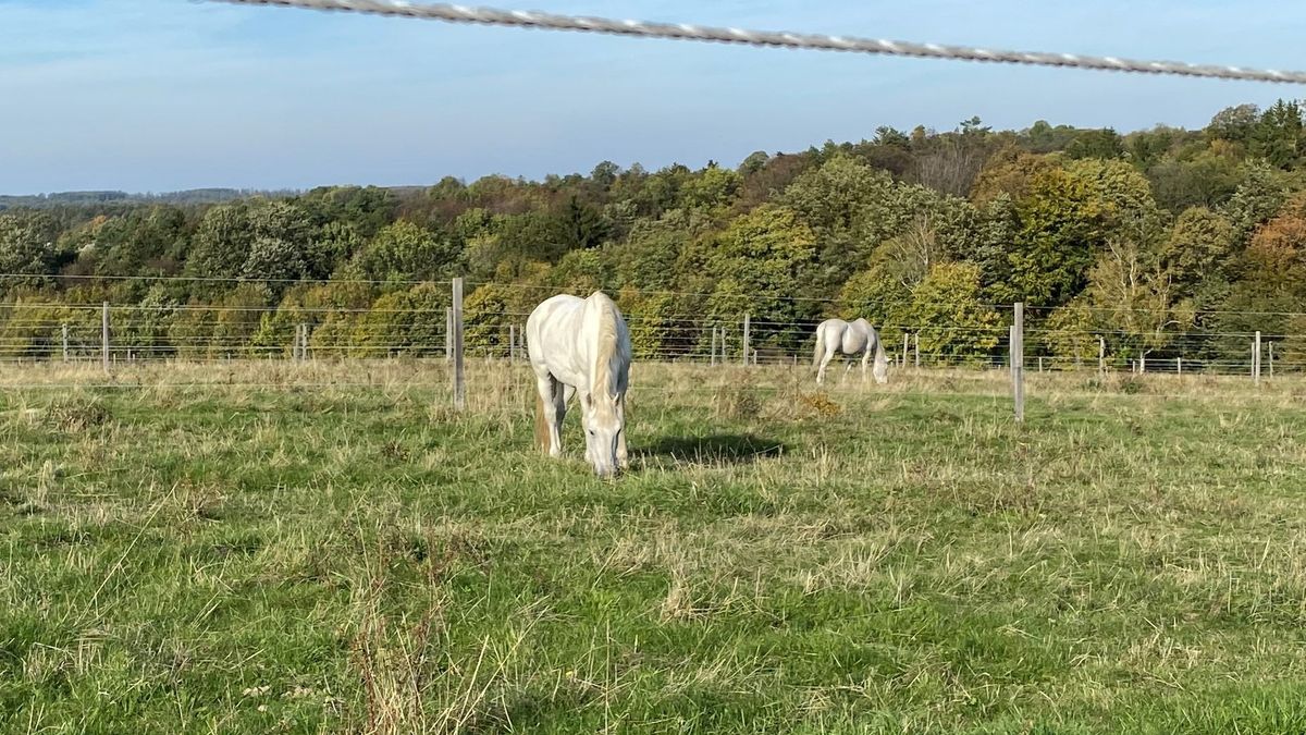 Hétvége a Bakonyban – Három szépséges, izgalmas búvóhely őszies színben és ízzel (videó)