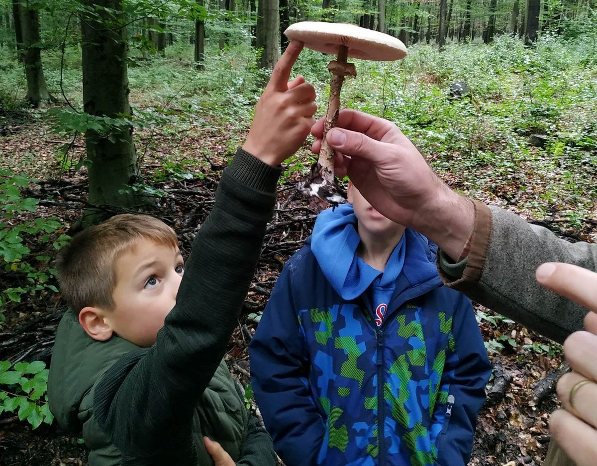 Túrázás – Kisgyerekekkel még nagyobb élmény az erdők felfedezése 