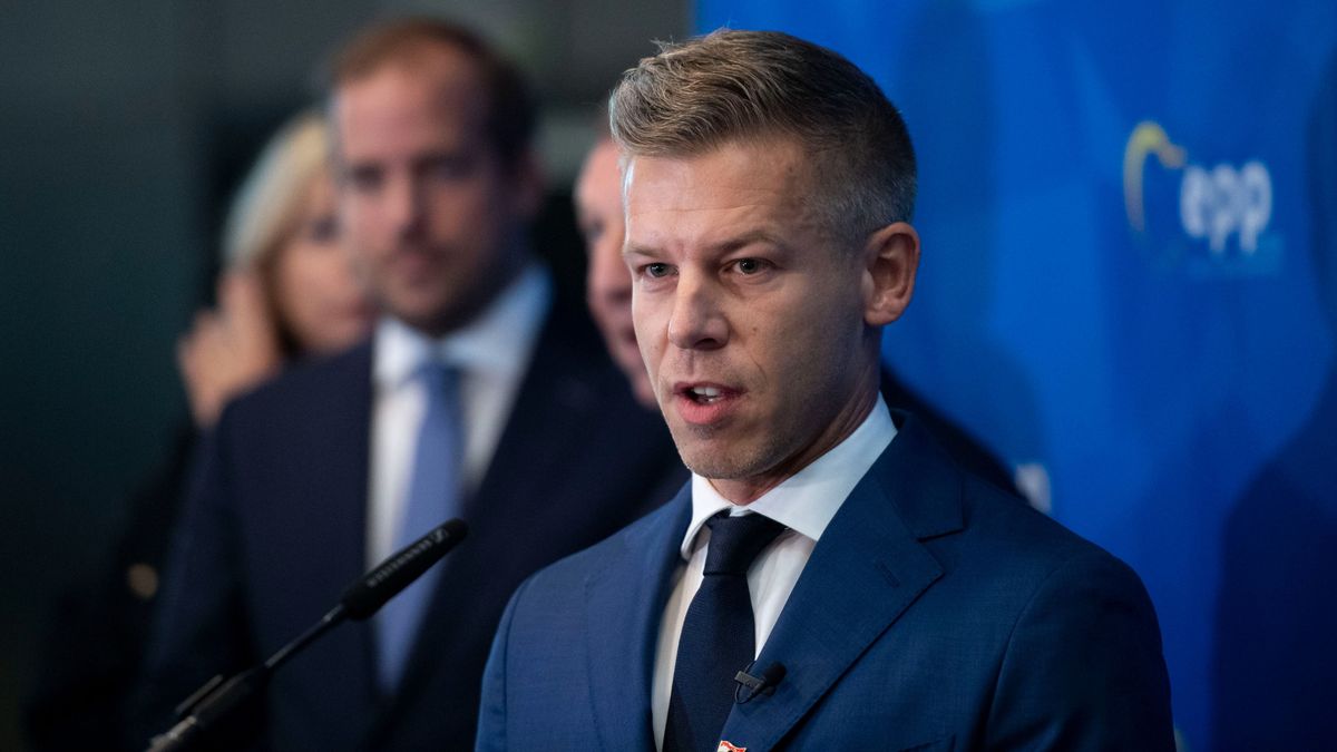 A Tisza Párt elnöke elismerte, hogy testvére kapott pénzt a PlanB-től (videó)