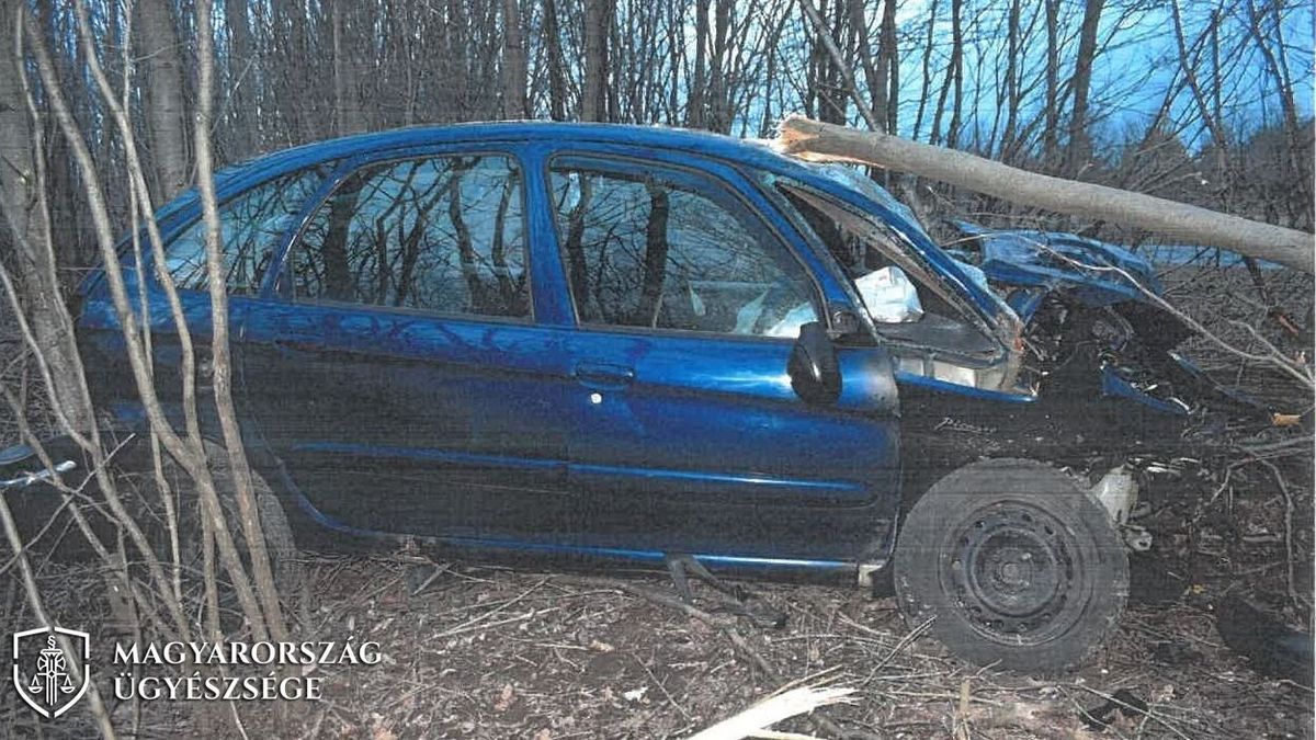 Fának csapódott járművével az ittas sofőr, egyik utasa súlyos sérülést szenvedett