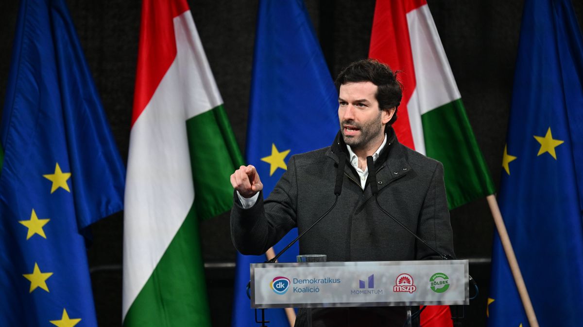 Zsíros álláshoz jutott az ismét füllentő Fekete-Győr András (videó)