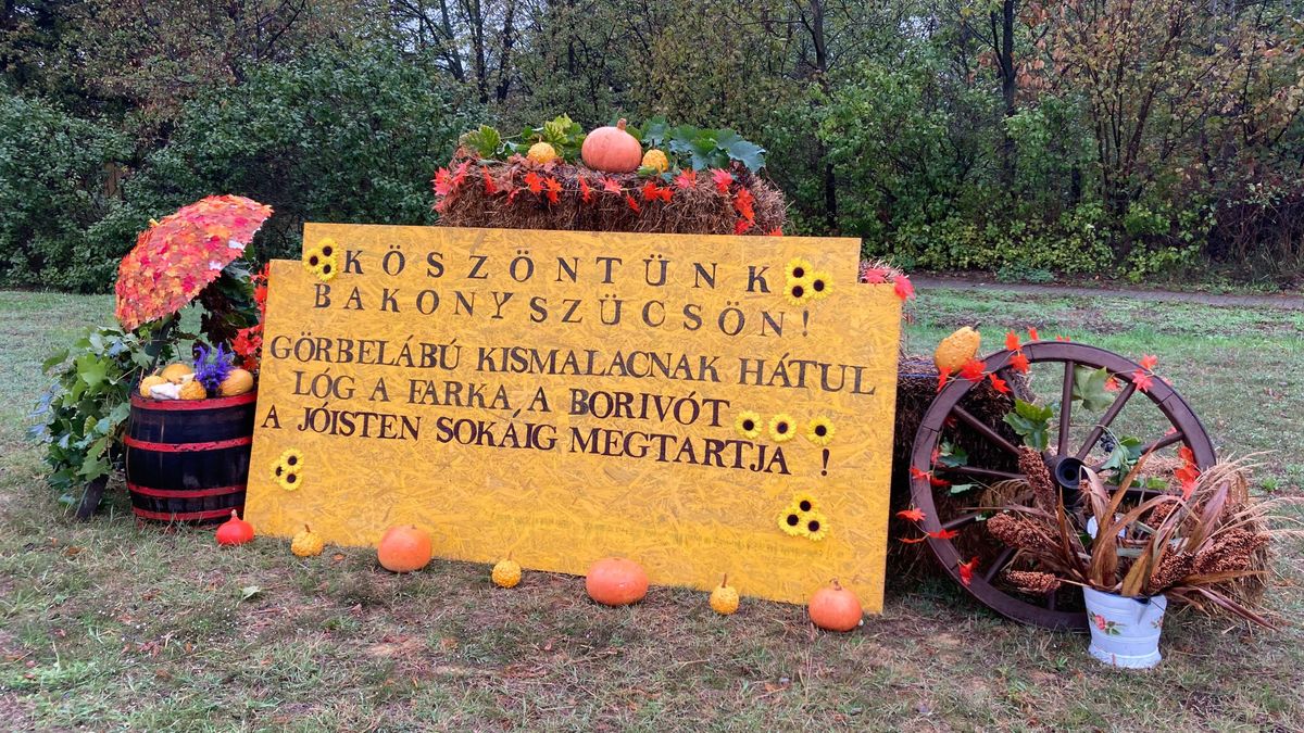 Diadalívből tündértrón – A szücsi hölgyek idén ősszel is remekeltek (képgaléria)