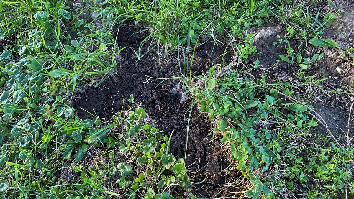 Tékozlás a temetőben vagy üzenet a síron?