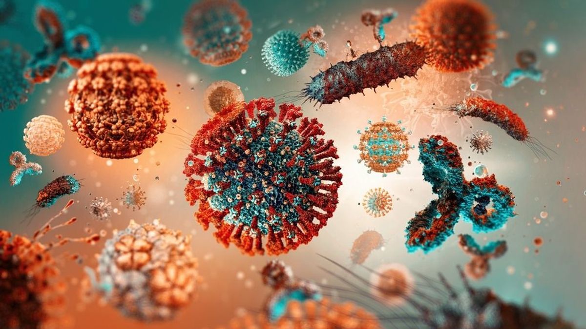 Megjelent a halálos vírus a magyar határnál