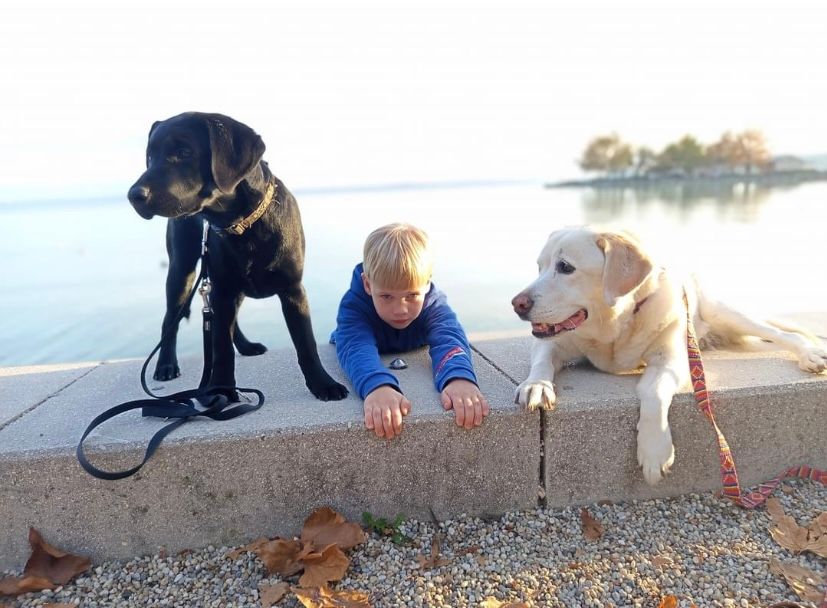 Balaton ősszel. A kis Leó, valamint a labradorok, a fekete Líra és Éden a füredi sétányon gyönyörködik a látványban 