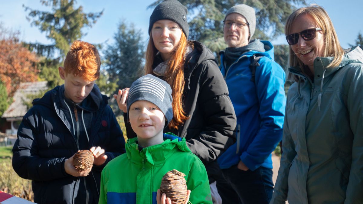 120 éves lett a Folly Arborétum