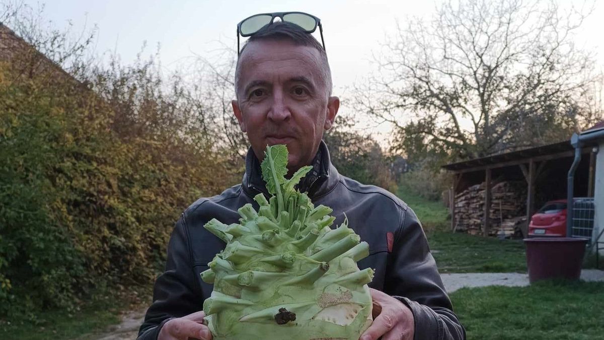 Gigakaralábét nevelt a zöld tiszteletes a Bakonyban; a református lelkész kerti rekordjának titka