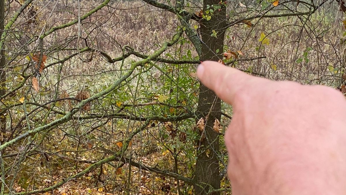 Emberölés áldozata lett a nő? „Egy holttestet találtam a földemen”