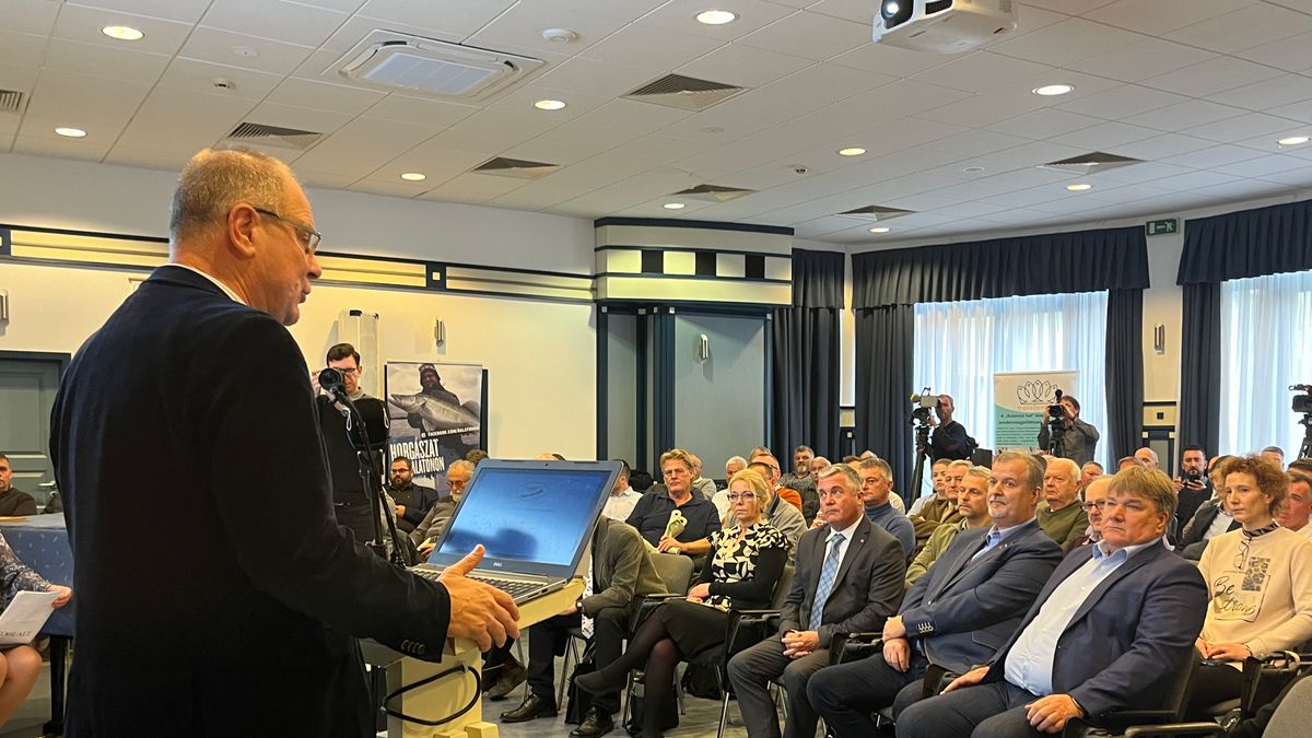 A horgász a halért érkezik ide