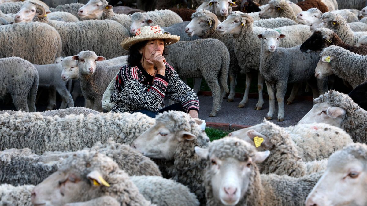 Gazdatüntetések kezdődnek Franciaországban (videó)