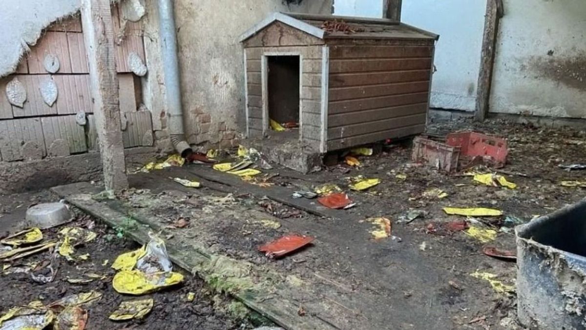 Állatkínzás Csapodon – A rendőrség is nyomoz