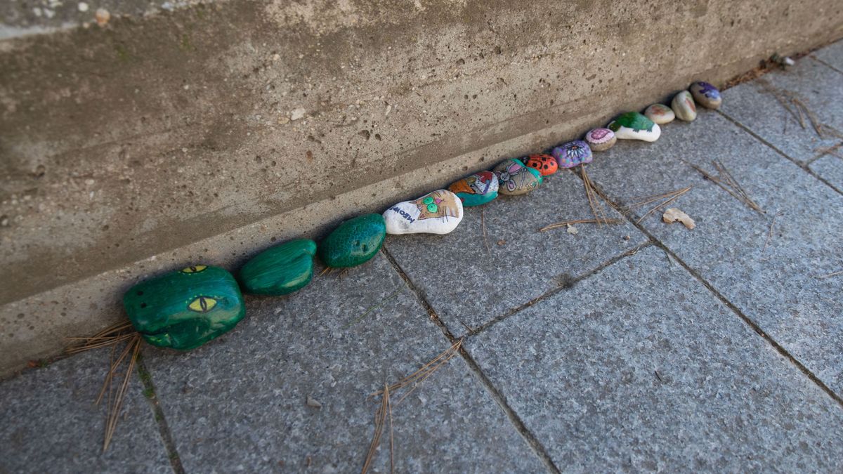 Kígyó tekereg Veszprémben (galéria)