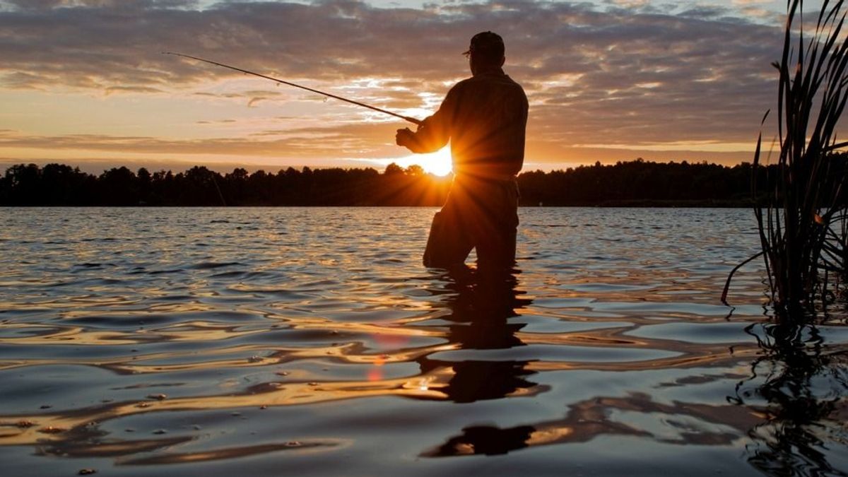 Elképesztő fogás: gyönyörű tokhalat akasztott egy horgász Baján