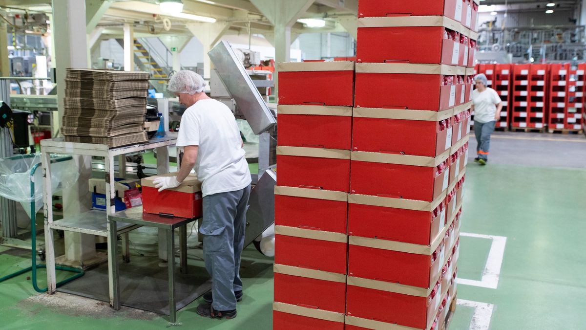 Czomba Sándor: dinamikus lesz a bérnövekedés a következő években