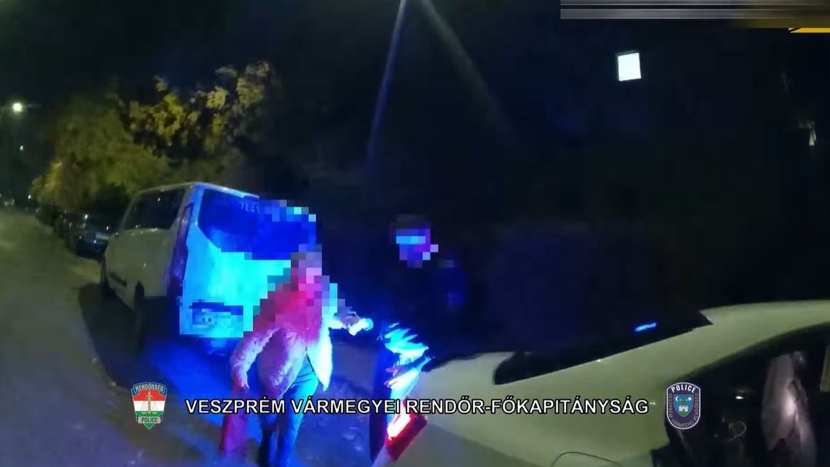 Segítségére siettek az idős hölgynek + videó