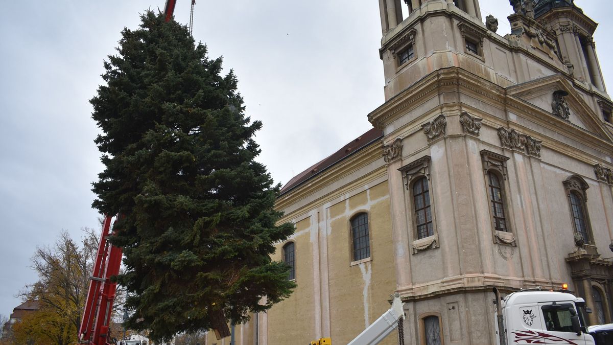 Karácsonyfa a város Fő terén