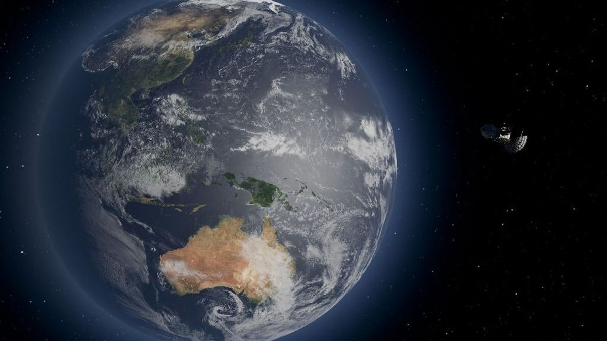 Kiderült, melyik élőlény lépne az emberiség helyébe, ha eltűnnénk a Föld színéről