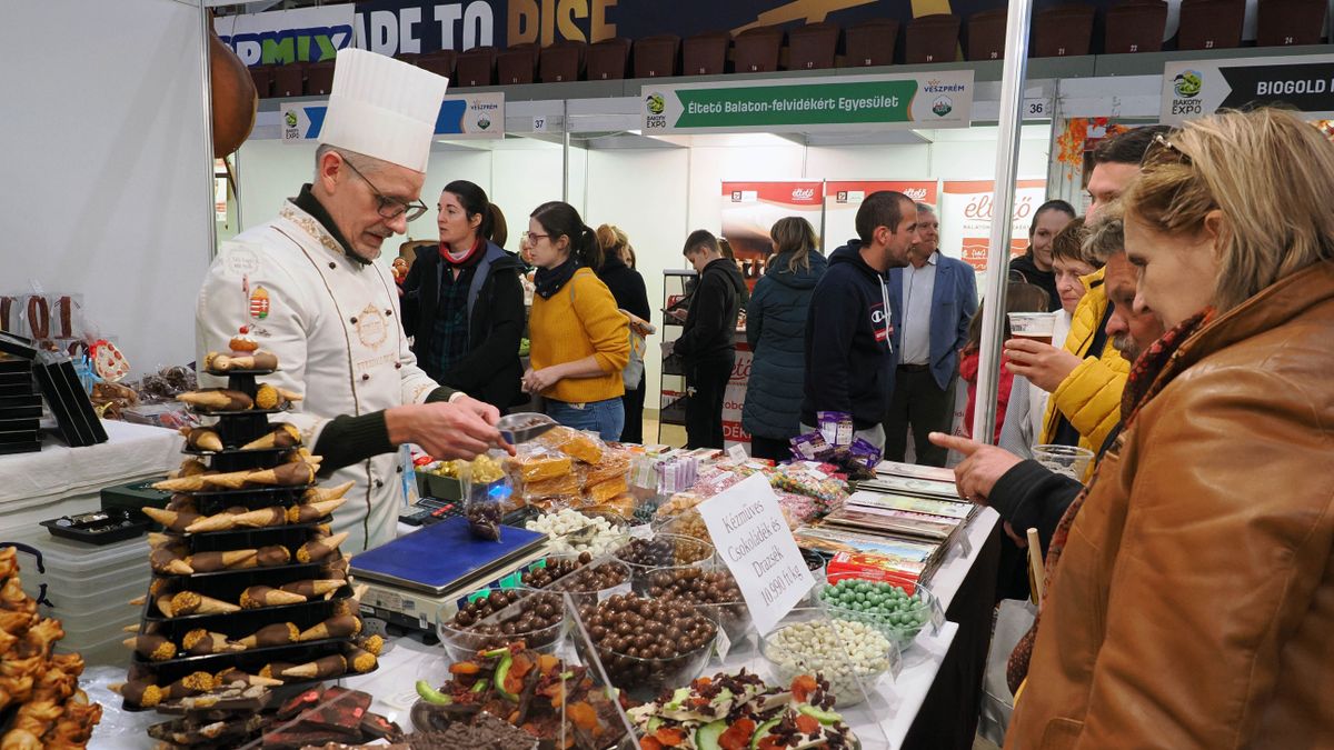Bakony Expó: családi program, találkozási hely