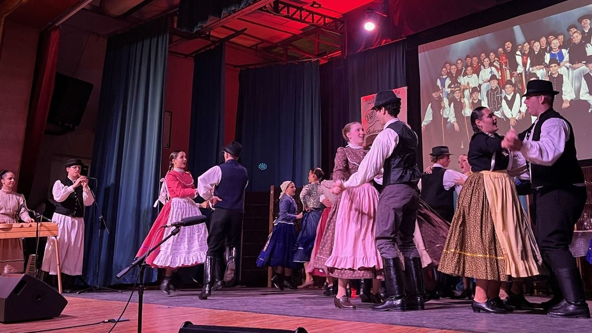 A táncegyüttes, amely mára kivirágzott (fotók, videó)