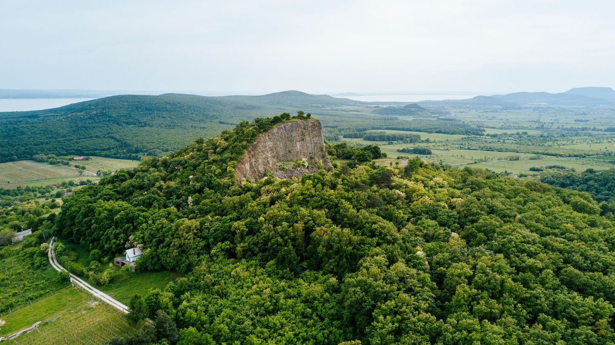 Hegyestű