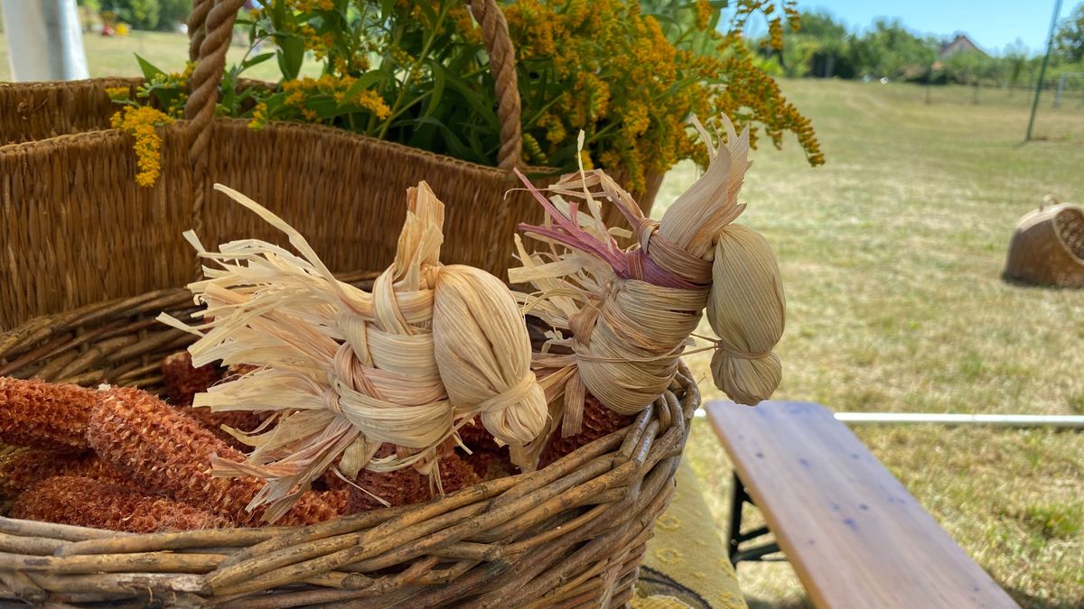 Csuhélovacskával ugratott Isten tenyerébe