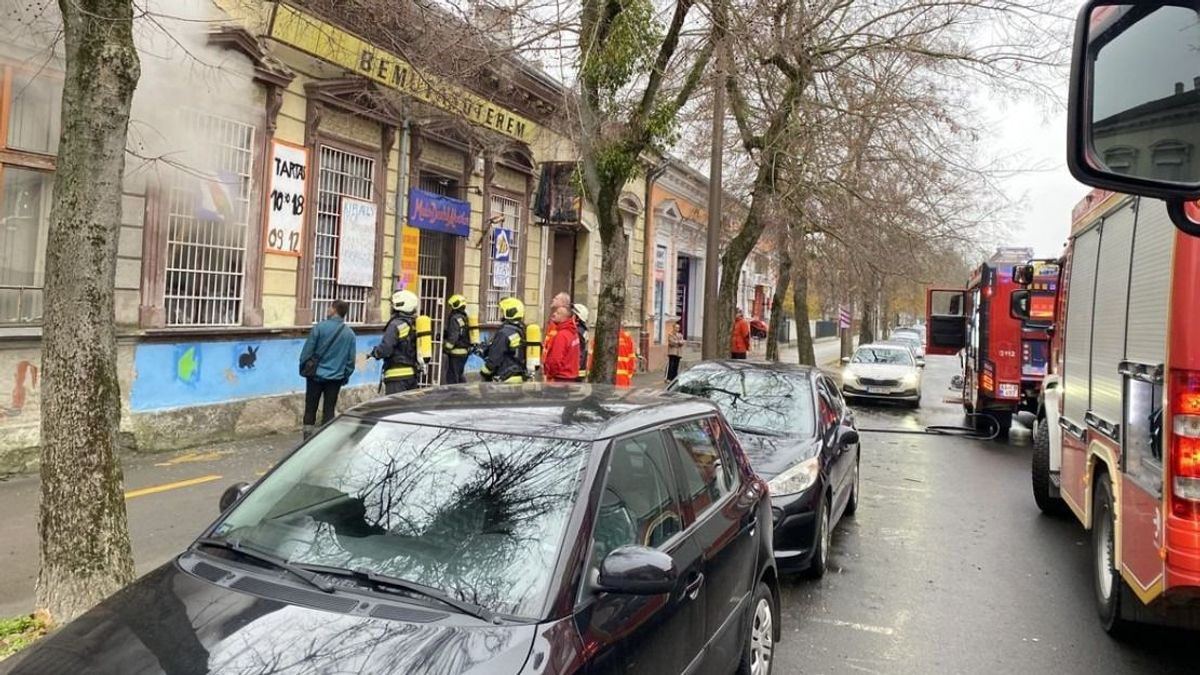Borzalmas tűz Nagykanizsán: az összes díszállat elpusztult egy boltban