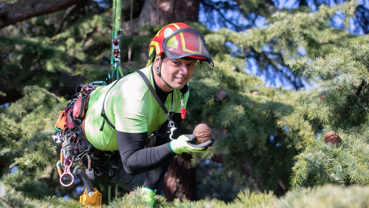 Tobozszüret traktortúrával (+galéria és videó)