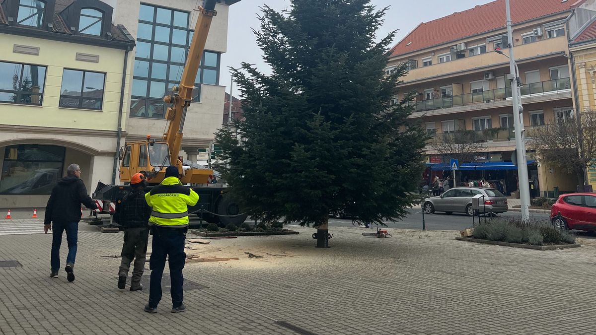 Lezárták az utakat, hogy eljuthasson az ajándék fenyőfa a városközpontig (videó)