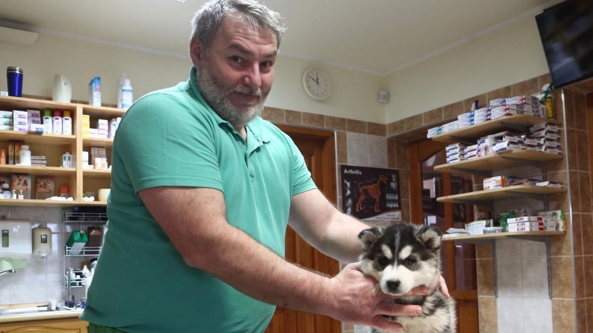 Civilizációs betegségek négylábú kedvenceinknél: az étrend és a mozgás kulcsfontosságú