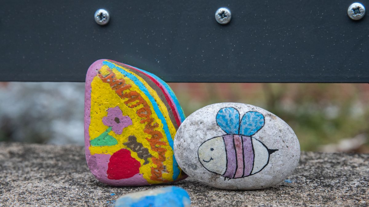 Újabb helyszínen bukkant fel kavicskígyó