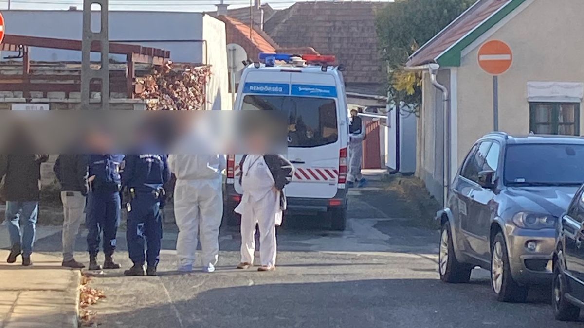 Medvepánik, fizetések és gyilkosságok: ezek voltak a hét legfontosabb hírei