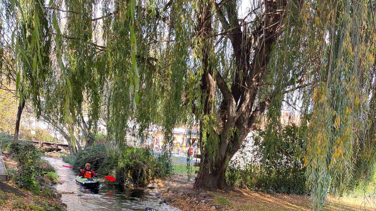 Kajakkal a Tapolca-patakon