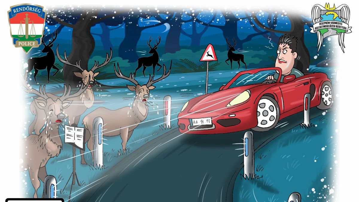 A Veszprém vármegyei rendőrség a Facebook oldalán hívja fel a figyelmet a vadveszélyre