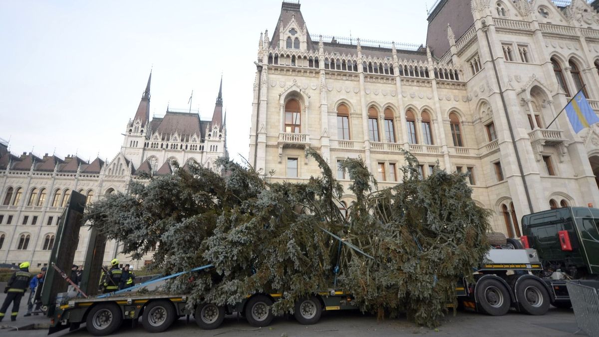 Csodás videó: így érkezett meg a Kossuth térre az ország karácsonyfája