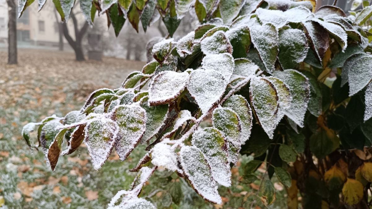 A szomszéd megyében már téli tájra ébredtek