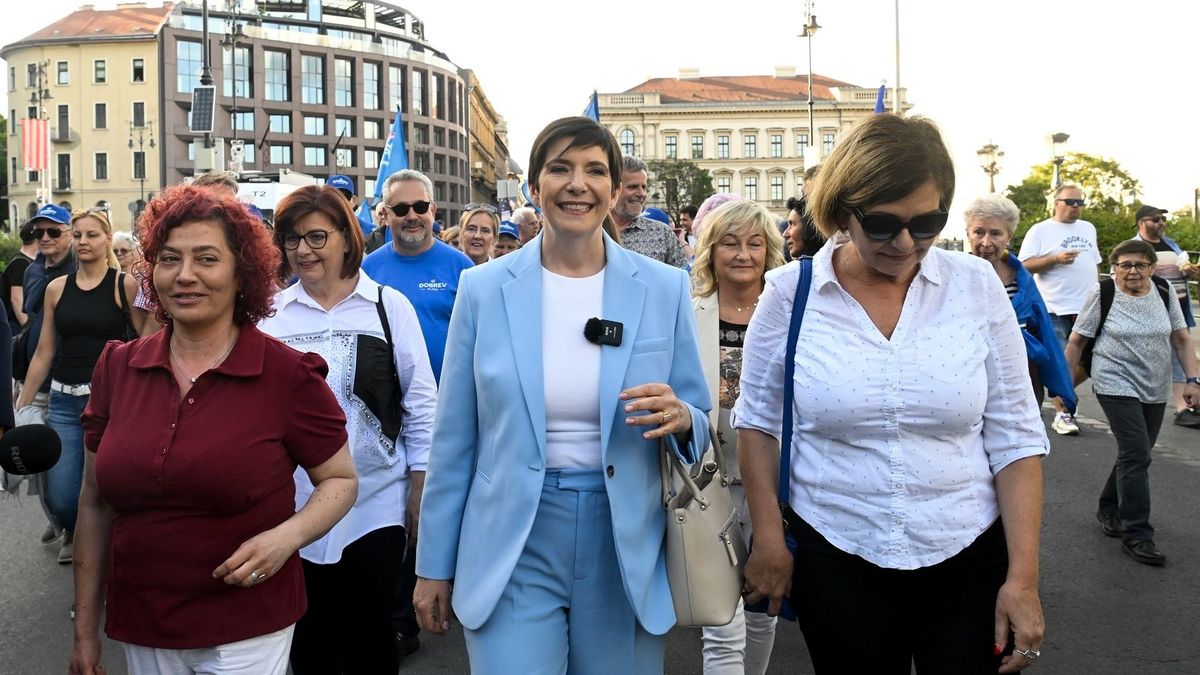 Több DK-ba igazolt baloldali politikus tervét húzta keresztül a Tisza Párt