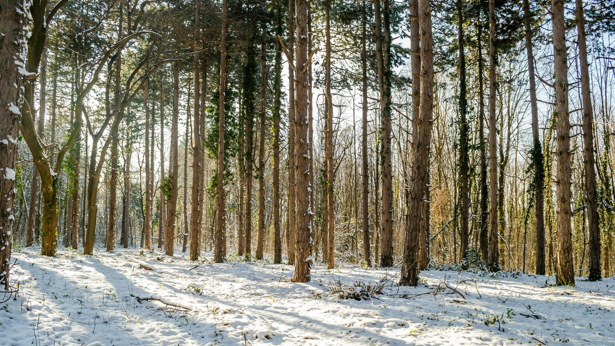 Többórás napsütés és hózápor