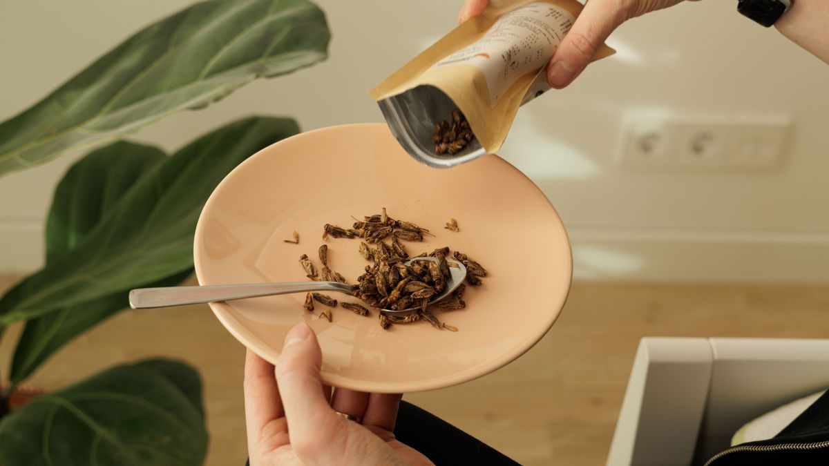 Ha hiszi, ha nem, minden héten eszik rovart – Eláruljuk, hogyan