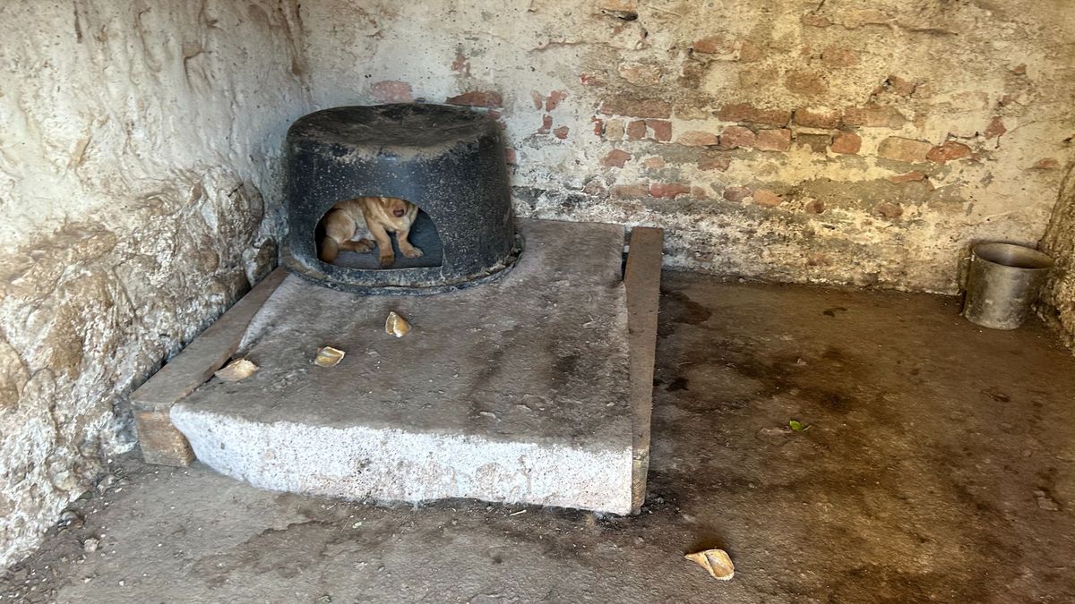 Horrortanya: újabb szaporítótelep Veszprém vármegyében