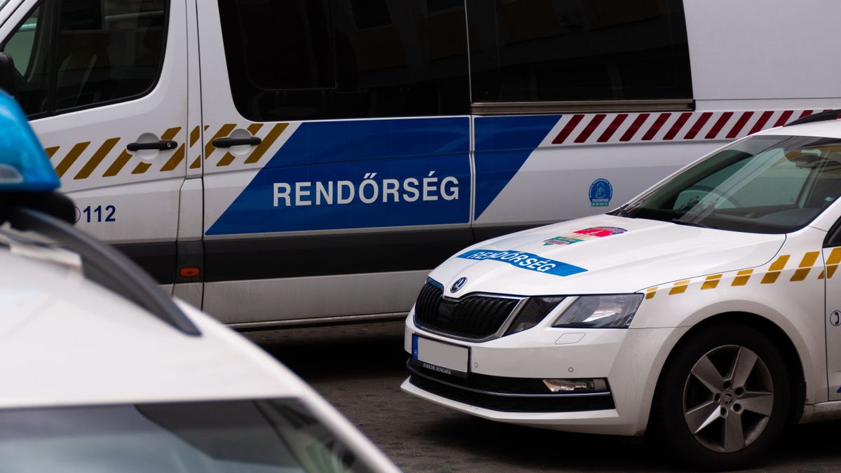 26 dílert fogott el a rendőrség egy nagyszabású akcióban, fegyverek is voltak náluk